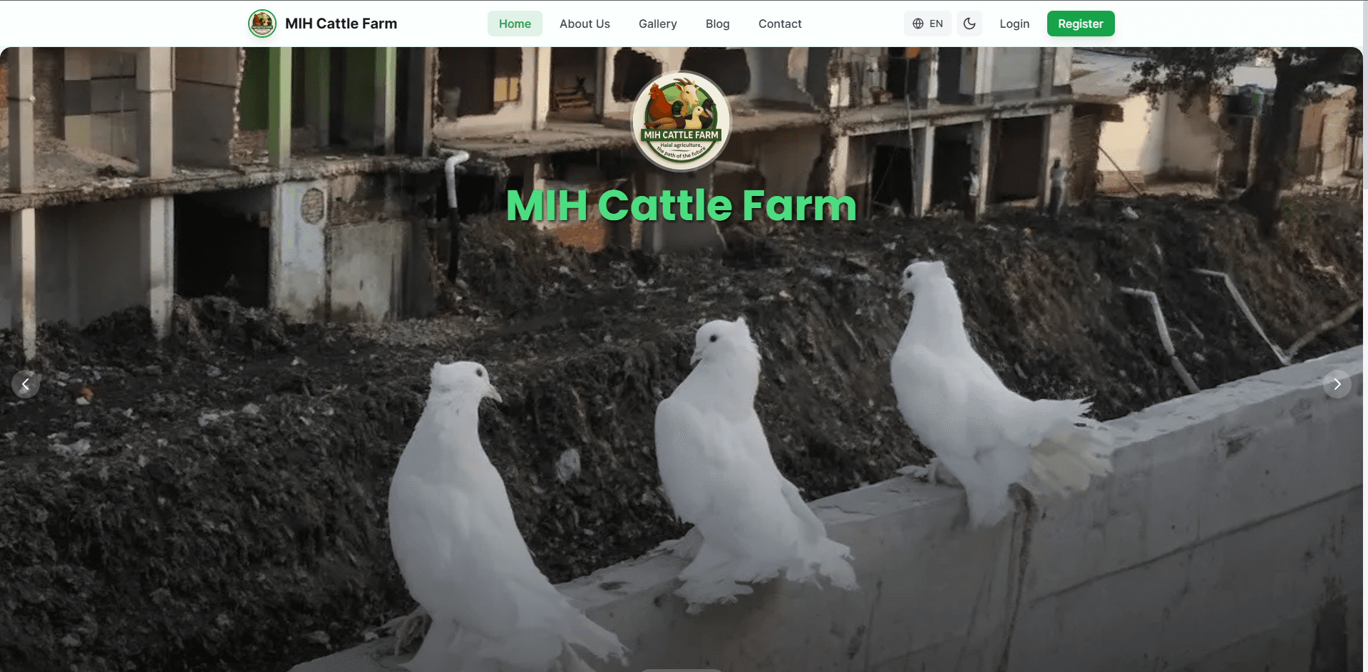 MIH Cattle Farm — Portfolio